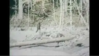 BIGFOOT COUNTY Official Trailer (2012) - Sam Ayers, Don Scribner, Stephon Stewart