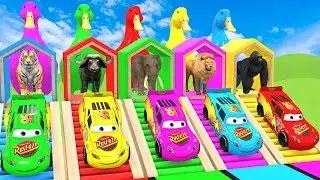 Long Slide Game With Cow Elephant Gorilla Hippopotamus Tiger 3d Animal Game Funny 3d Animals