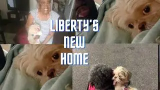 LIBB'S NEW HOME | UPDATES