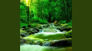 Mystical River (Nature Sounds)