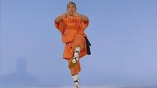 SHAOLIN KUNG FU: big Penetrating-arms tactics (da tong bi quan)
