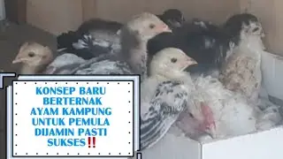 KONSEP BARU‼ DIJAMIN 💯% BERHASIL🔥 