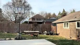 Cooper is a frisbee &hellip;.. machine 
