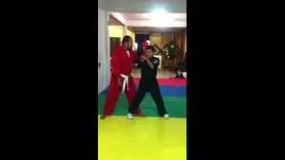 OFSA kenpo1 2