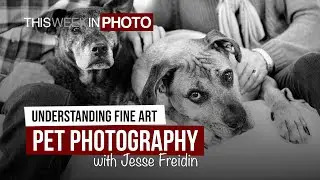Understanding Fine Art Pet Photography, with Jesse Freidin