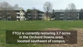 From the Ground Up: U of I Student Organization Restores Native Prairieland
