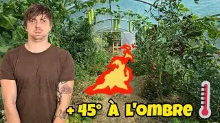 Un potager en condition EXTR&Ecirc;ME : Bilan serre 2025