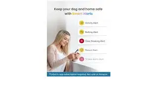 Protect & Connect: The Ultimate Furbo 360&deg; Pet Camera Duo!