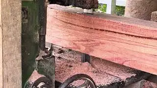 Smooth Table Saw Cutting Sound That Melts Stress Away