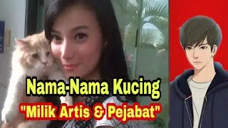 Bawa Hoky berikut Nama-nama Kucing Pejabat dan Artis
