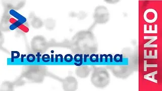 Proteinograma - Residencia TCba laboratorio