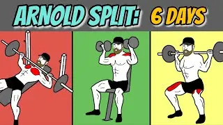 Arnold Split: 6 Days Gym Routine (Free Training Plan + Full Explanation)