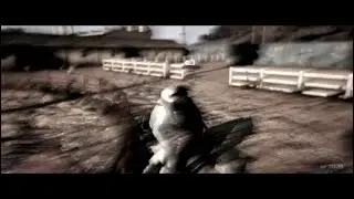 MONTAGE 14 and (ELIMINATION ONLY)
