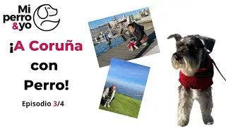 A CORU&Ntilde;A PET FRIENDLY 🐶: qu&eacute; VER en 5 d&iacute;as. Ep. 3 #viajarconperro #perros #galicia
