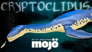 2025 Mojo Fun CRYPTOCLIDUS Review!!!