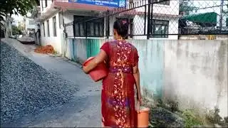 Feeding stray dogs during lockdown