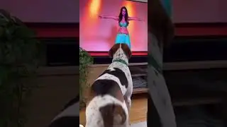 Belly Dancing