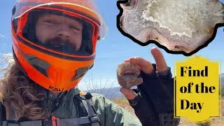 Bag Full of Agates & Thundereggs | Rockhounding & Cutting Finds (2)