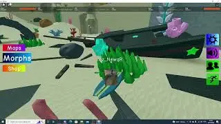 How to get all the Water Map 21 floppas in Find The Floppa Morphs!