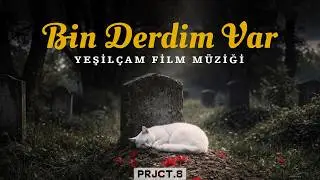 BİN DERDİM VAR - Nostaljik Yeşil&ccedil;am D&uuml;eti | 70'ler Vibe (Sinematik Klip)