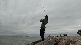 CATCHING A MONSTER AT TEXAS CITY DIKE! BLACK DRUM!