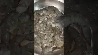 . &ldquo;Washing Fresh Jheenga 🦐 | Sea Prawns Cleaning in Action&rdquo;