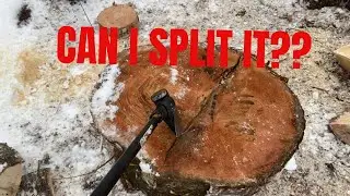Splitting firewood rounds with Fiskars Maul #workout