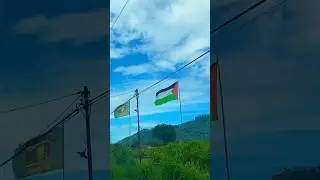 Bendera palestina #religion #shorrts #cover #fypシ #benderapalestina #bendera #palestinamerdeka #fypシ