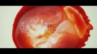 Lit by Fire - Coherent