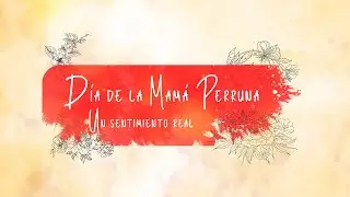 Día de la Mamá Perruna: un sentimiento real