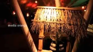 GOA documentary