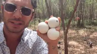 Marco Paoletti - Tutorial pelotas - Caja Saltada