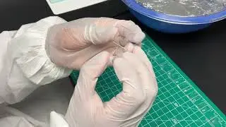 How to punch inlet/outlet holes into the PDMS Chips.