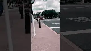 Disney bus