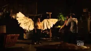 This is war - Lost Girl season 4