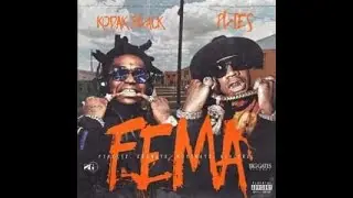 Kodak Black & Plies - Heart Mind DIY Acapella/Vocals Only