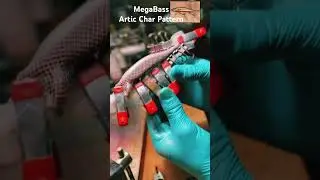 MegaBass Artic Char