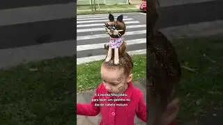 E saiu um gatinho 🥰 #youtubeshorts #shosts