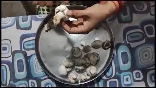 mushroom peeling#cooking#healthyindian#indianfood#mushroomrecipe#mushroom#weightloss#healthycooking