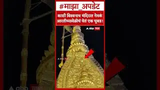 Kashi Vishwanath Mandir Owl : काशी विश्वनाथ मंदिरात नेमकं आरतीच्यावेळीचं येतं एक घुबड!