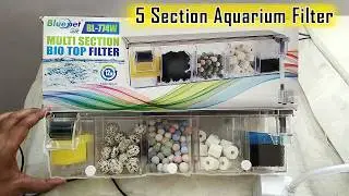 Bluepet BL 774W Multi Section Bio Top Filter Unboxing & Review