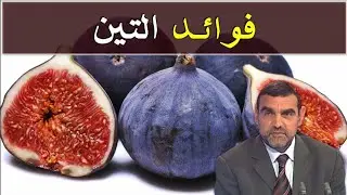 الدكتور محمد الفايد و فوائد التين
(الكرموص او الباكور)