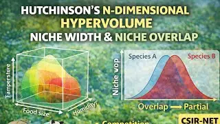 Hutchinson&rsquo;s N-Dimensional Hypervolume | Niche Width & Niche Overlap