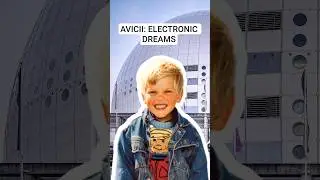 Avicii and The Price of Fame