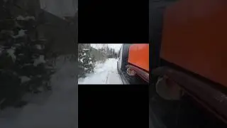 Спасли 