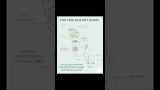 Reflexology #naturecure For TATC student #naturopathy #reels #shorts #viralvideo #trandingshorts