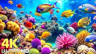 The Best 4K Aquarium - Explore the Stunning World of Sea Jellyfish and Beautiful Coral Reef Fish. #8