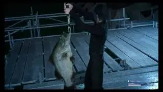Final Fantasy XV - New Timed Quests System and a Fishy Stream