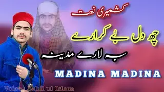 Heart Touching Naat | Chue Dil Bay Kararai || Voice: Sahil Ul Islam |@ZubairSalafi @urdunaats7534