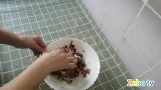#пельмени_домашние #zebotv        VLOG:🇷🇺🍲пельмени домашние 🍲